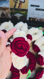 Bunai Rose & Jasmine Gajra