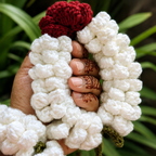 Bunai Rose & Jasmine Gajra